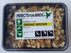 Drone Brood 12 liter INCLUDING FREE SHIPPING TEMPEX BOX