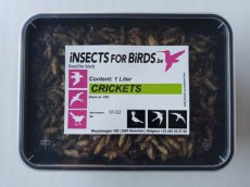 Crickets NR7 12 liter INCLUDING FREE SHIPPING TEMPEX BOX