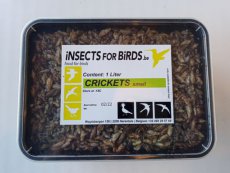 Crickets Small NR2 12 liter INCLUDING FREE SHIPPING TEMPEX BOX