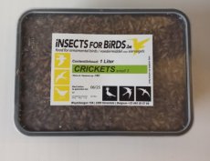 Crickets Small NR3 12 liter INCLUDING FREE SHIPPING TEMPEX BOX
