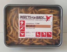Morio Worms 12 liter INCLUDING FREE SHIPPING TEMPEX BOX