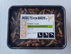 Grasshoppers Medium 12 liter INCLUDING FREE SHIPPING TEMPEX BOX