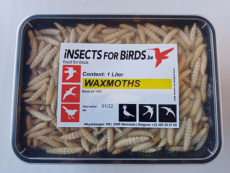 #07 Wasmotten 10+1 gratis