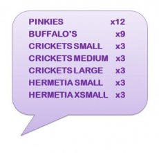 BOX 36.07 MIX + TEMPEX BOX