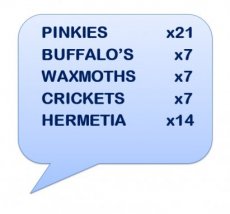 BOX 56.19 MIX + TEMPEX BOX