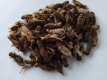 Krekels LARGE NR7 12 liter Crickets NR7 12 liter INCLUDING FREE SHIPPING TEMPEX BOX