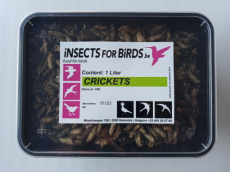 #06 Krekels NR7 10+1 gratis