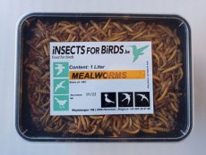 Meelwormen 12 liter Mealworms 12 liter INCLUDING FREE SHIPPING TEMPEX BOX