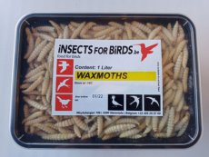 Waxmoths 12 liter INCLUDING FREE SHIPPING TEMPEX BOX